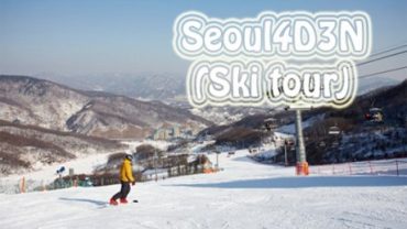 스키패키지 (4일)